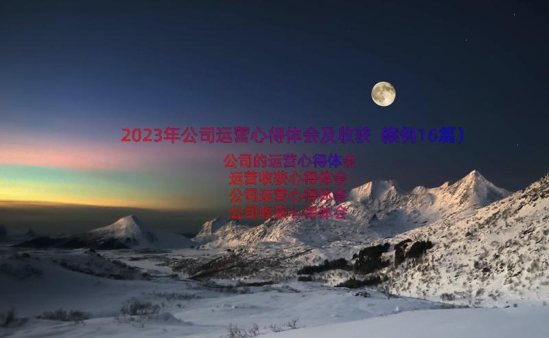 2023年公司运营心得体会及收获（案例16篇）