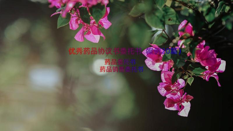 优秀药品协议书委托书（案例20篇）