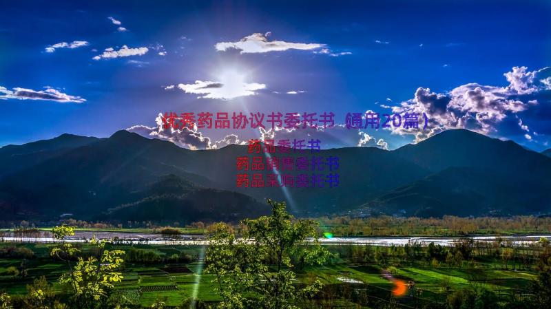 优秀药品协议书委托书（通用20篇）