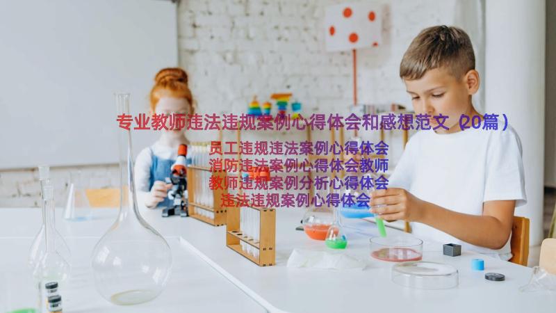 专业教师违法违规案例心得体会和感想范文（20篇）