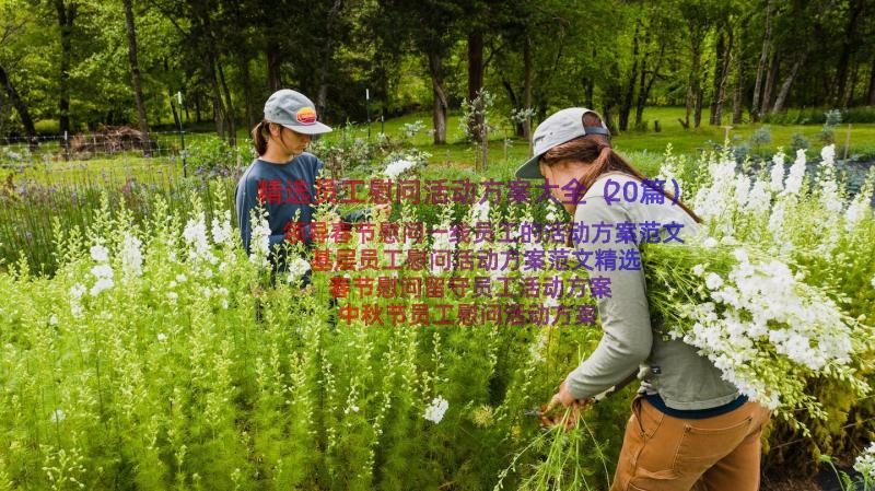 精选员工慰问活动方案大全（20篇）