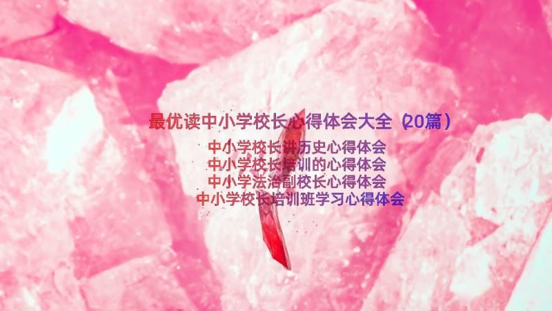 最优读中小学校长心得体会大全（20篇）