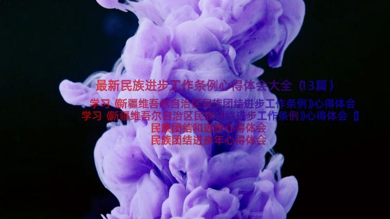 最新民族进步工作条例心得体会大全（13篇）