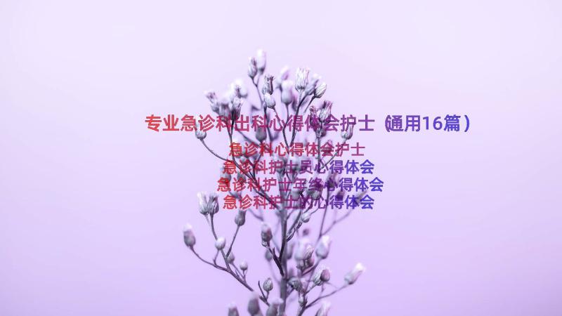 专业急诊科出科心得体会护士（通用16篇）