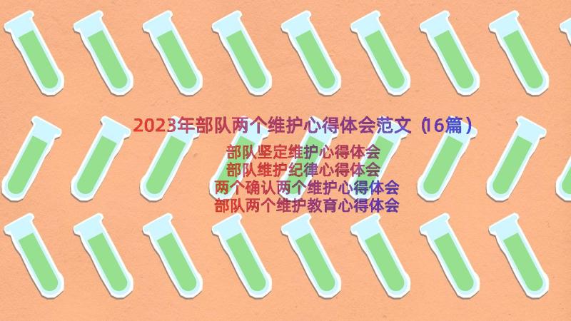 2023年部队两个维护心得体会范文（16篇）