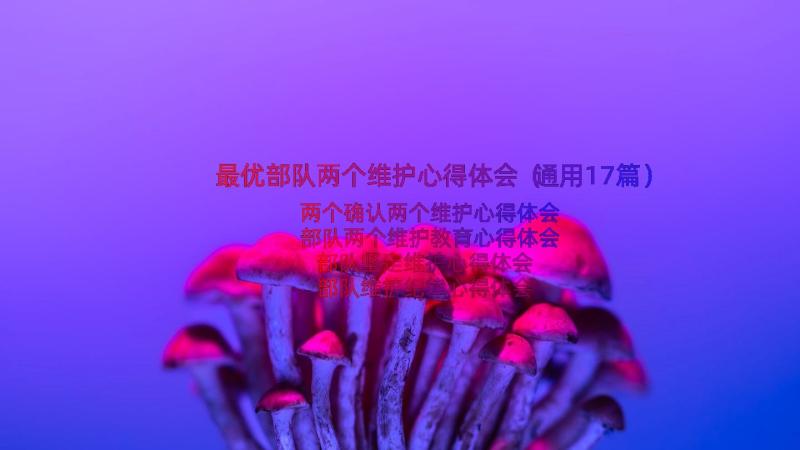 最优部队两个维护心得体会（通用17篇）