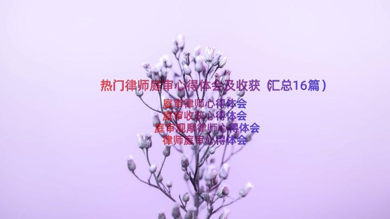 热门律师庭审心得体会及收获（汇总16篇）