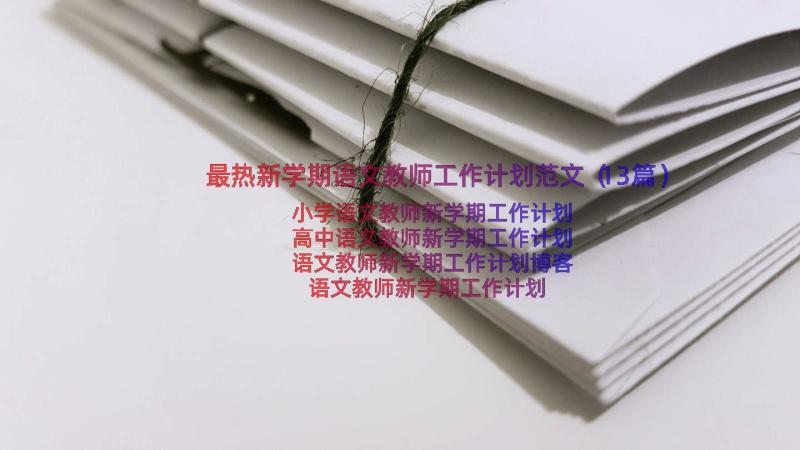 最热新学期语文教师工作计划范文（13篇）