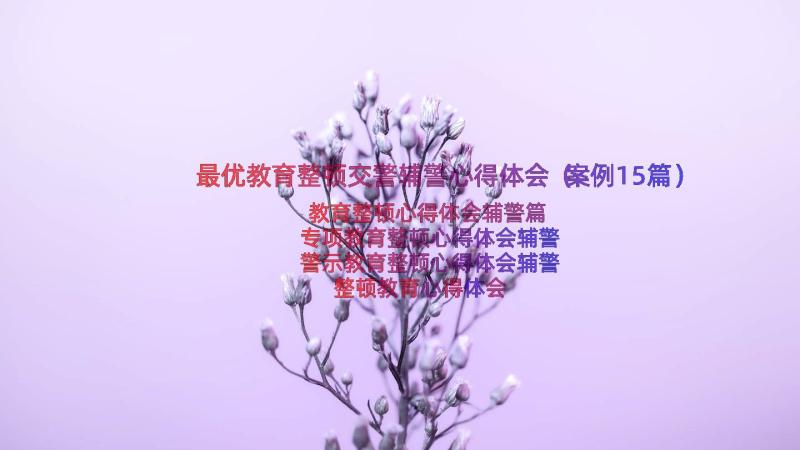 最优教育整顿交警辅警心得体会（案例15篇）