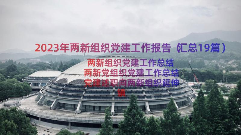 2023年两新组织党建工作报告（汇总19篇）