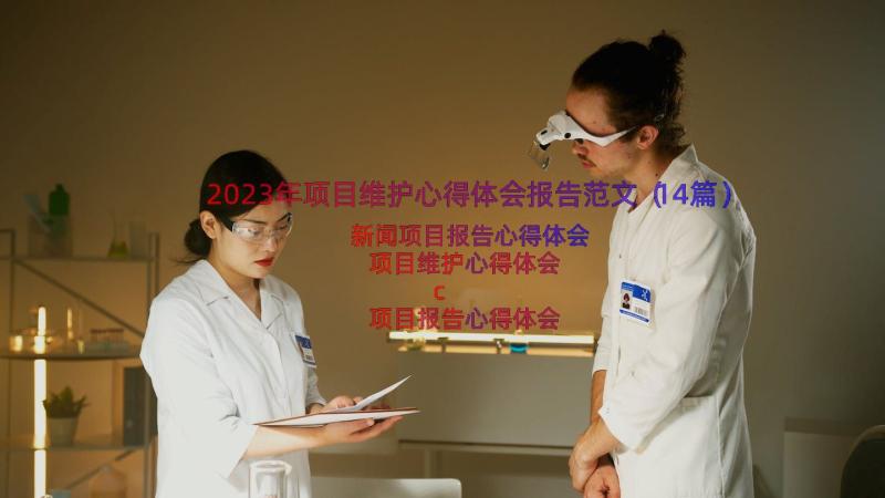 2023年项目维护心得体会报告范文（14篇）