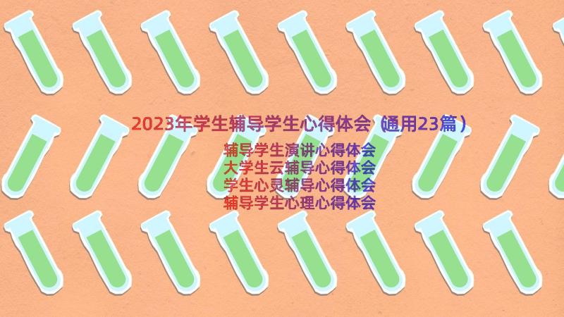 2023年学生辅导学生心得体会（通用23篇）