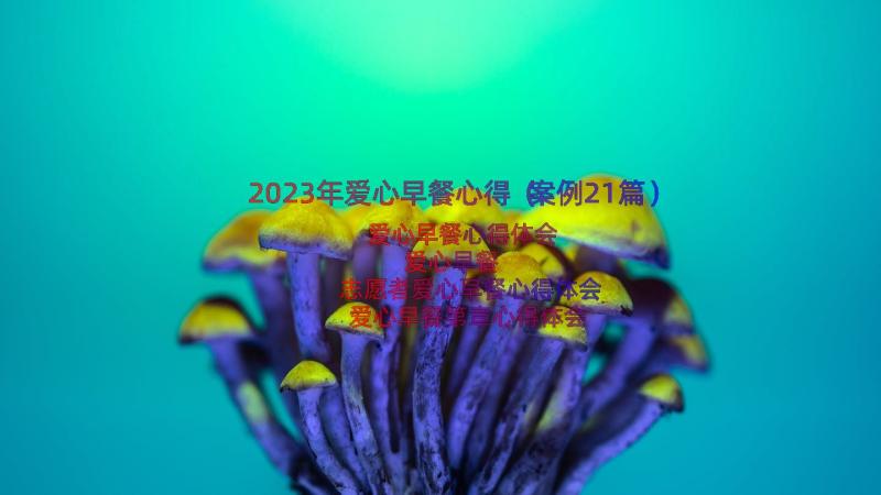 2023年爱心早餐心得（案例21篇）