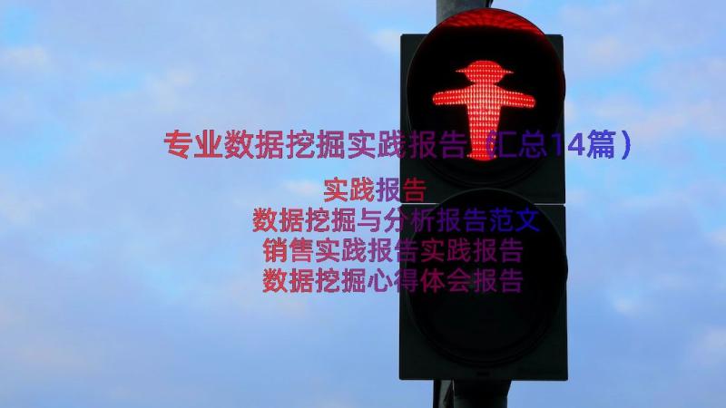 专业数据挖掘实践报告（汇总14篇）