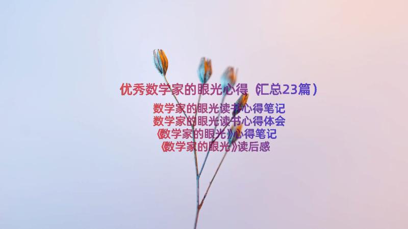 优秀数学家的眼光心得（汇总23篇）