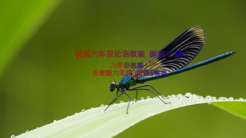 优质六年级论语教案（案例15篇）