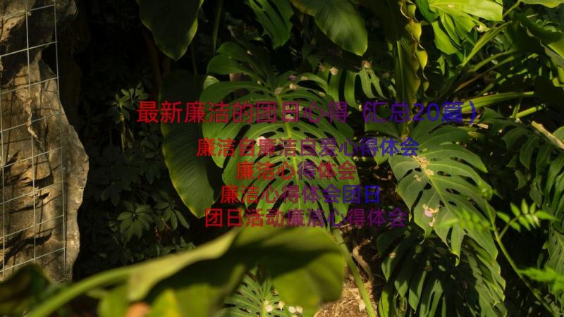 最新廉洁的团日心得（汇总20篇）