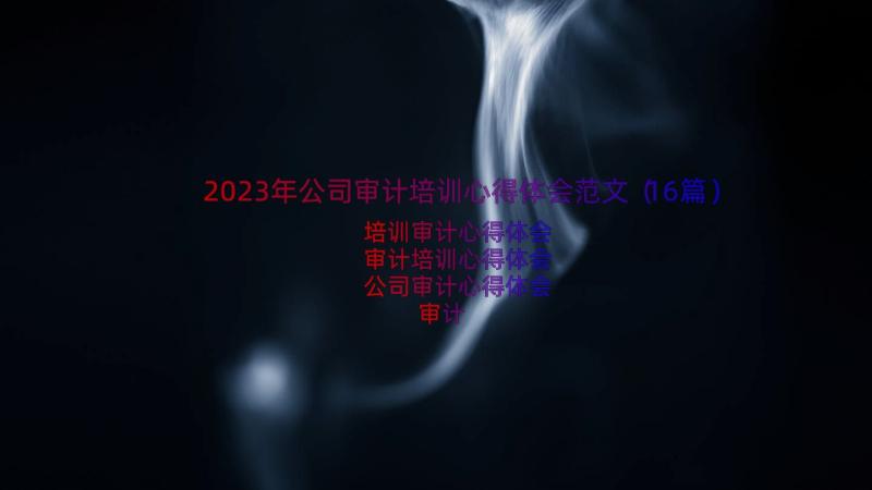 2023年公司审计培训心得体会范文（16篇）