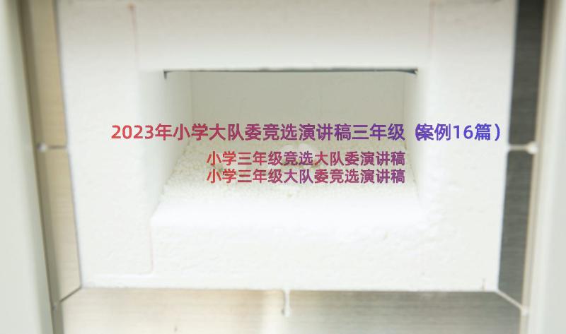 2023年小学大队委竞选演讲稿三年级（案例16篇）