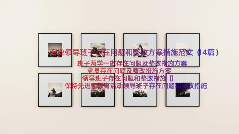 专业领导班子存在问题和整改方案措施范文（14篇）