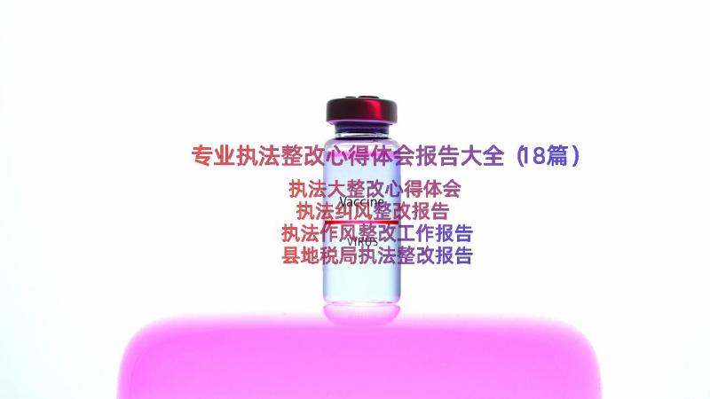 专业执法整改心得体会报告大全（18篇）