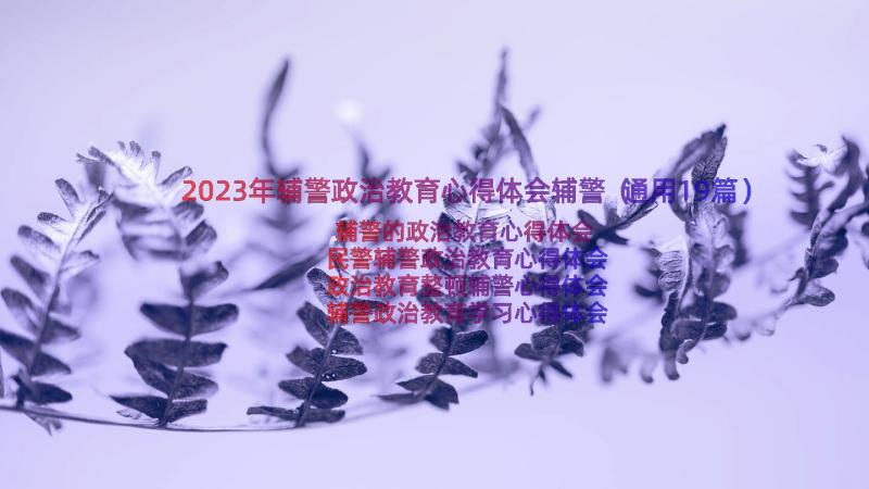 2023年辅警政治教育心得体会辅警（通用19篇）