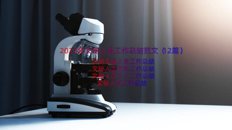 2023年文秘人员工作总结范文（12篇）