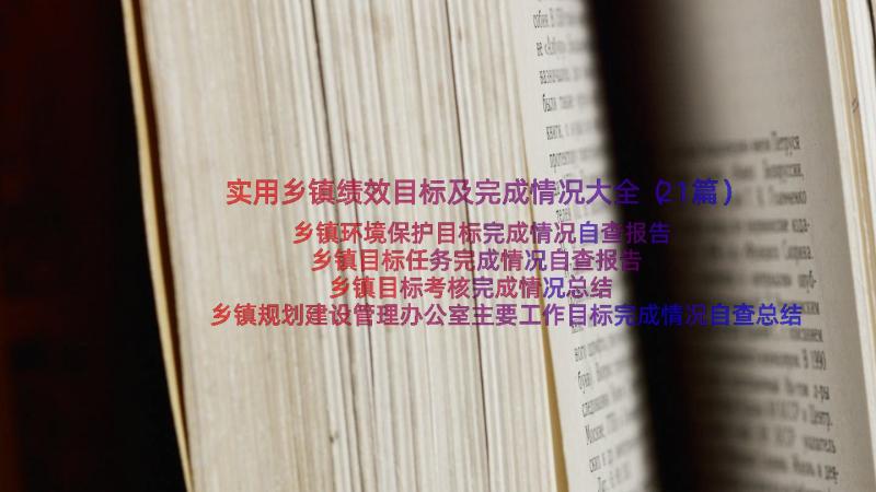 实用乡镇绩效目标及完成情况大全（21篇）