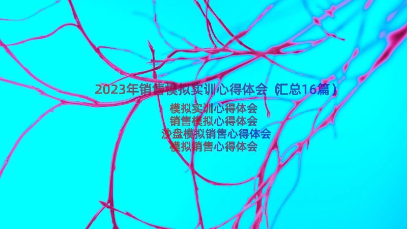 2023年销售模拟实训心得体会（汇总16篇）