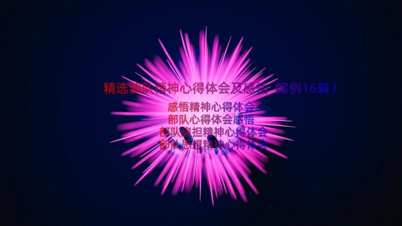 精选部队精神心得体会及感悟（案例16篇）