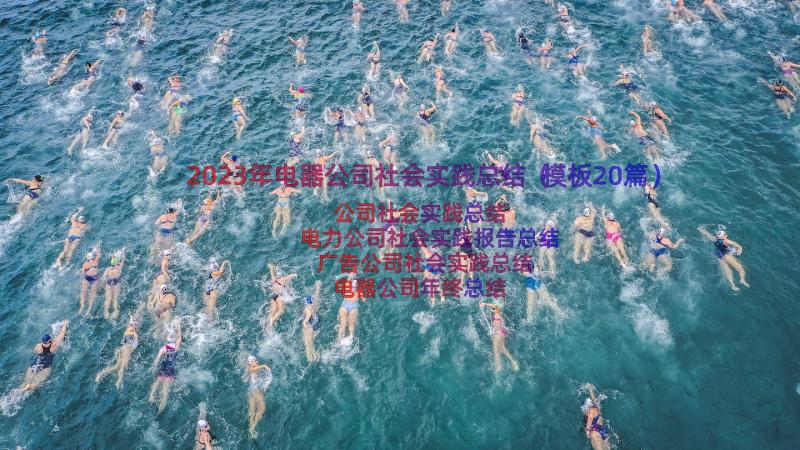 2023年电器公司社会实践总结（模板20篇）