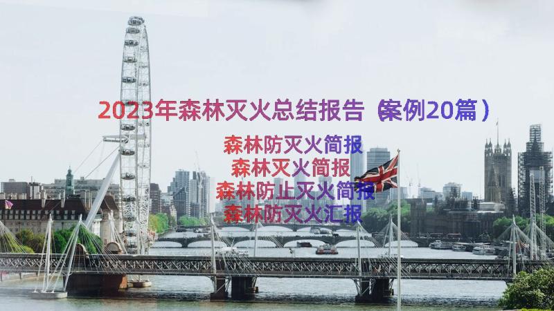 2023年森林灭火总结报告（案例20篇）