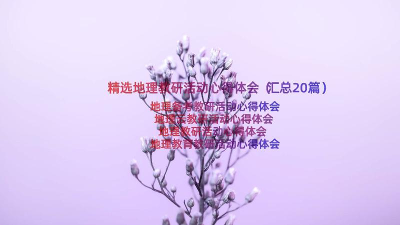 精选地理教研活动心得体会（汇总20篇）