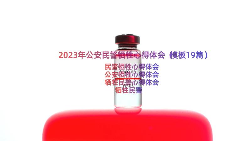 2023年公安民警牺牲心得体会（模板19篇）