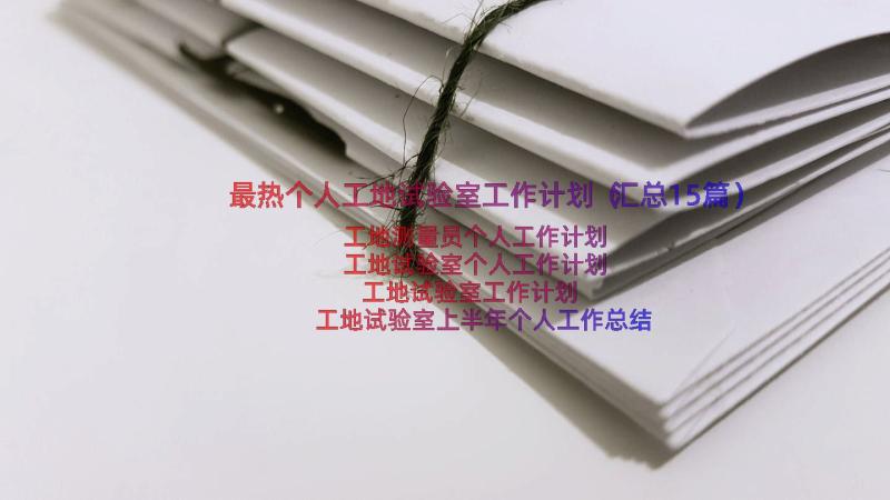 最热个人工地试验室工作计划（汇总15篇）