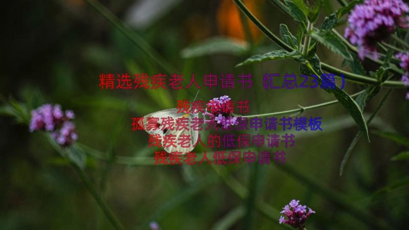 精选残疾老人申请书（汇总23篇）