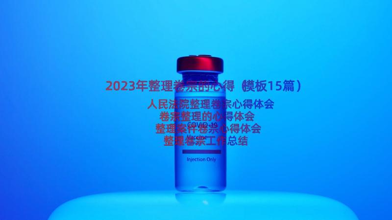 2023年整理卷宗的心得（模板15篇）