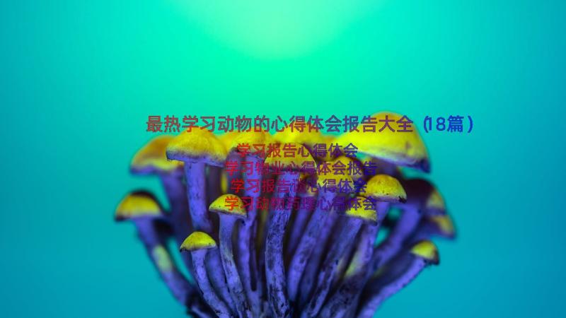 最热学习动物的心得体会报告大全（18篇）