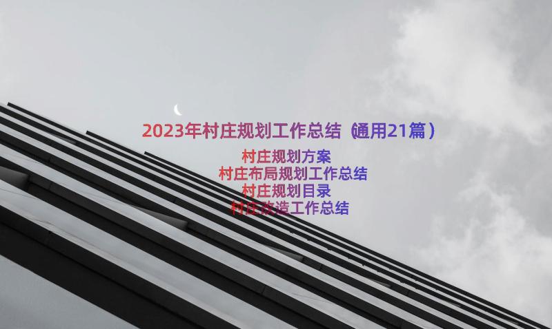 2023年村庄规划工作总结（通用21篇）