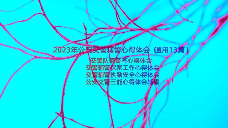 2023年公安交警辅警心得体会（通用13篇）