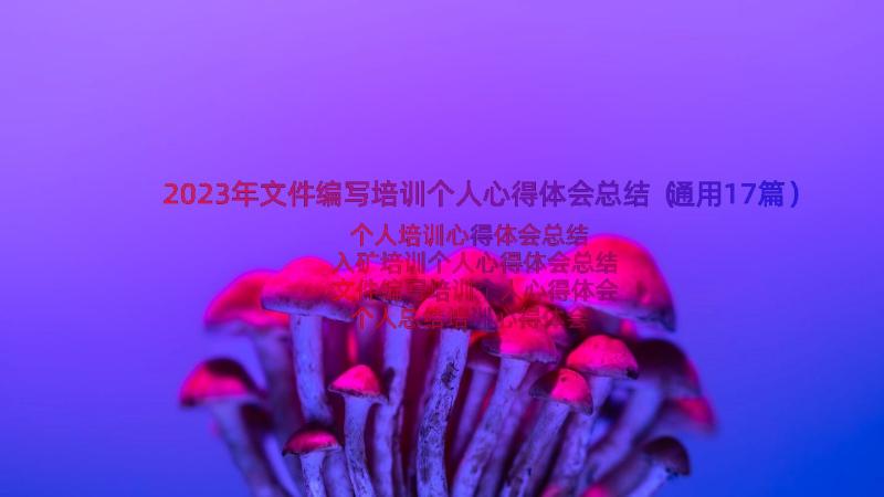 2023年文件编写培训个人心得体会总结（通用17篇）