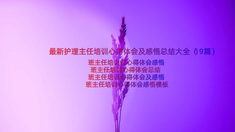 最新护理主任培训心得体会及感悟总结大全（19篇）