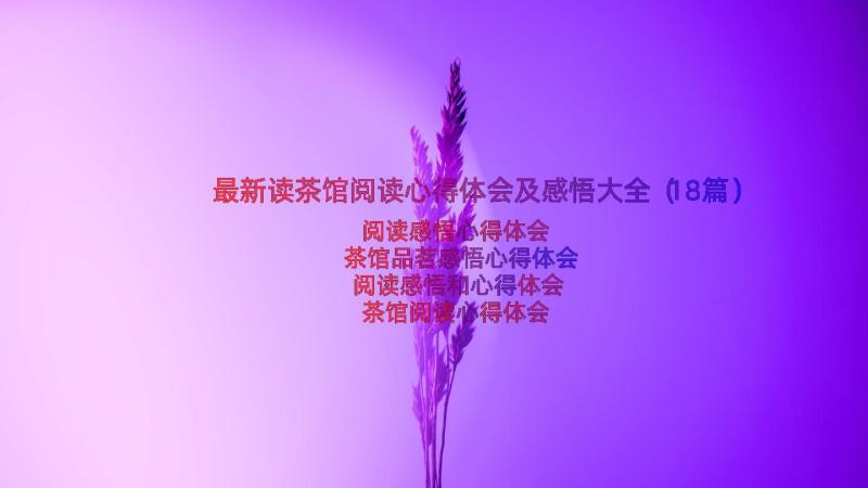 最新读茶馆阅读心得体会及感悟大全（18篇）