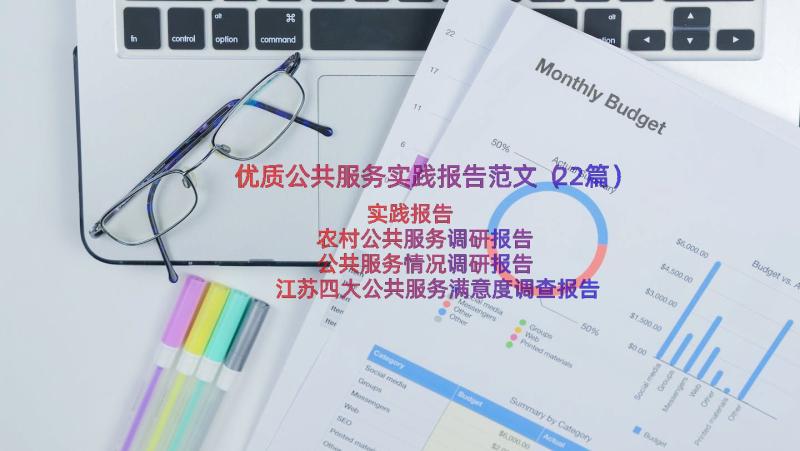 优质公共服务实践报告范文（22篇）