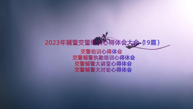 2023年辅警交警培训心得体会大全（19篇）