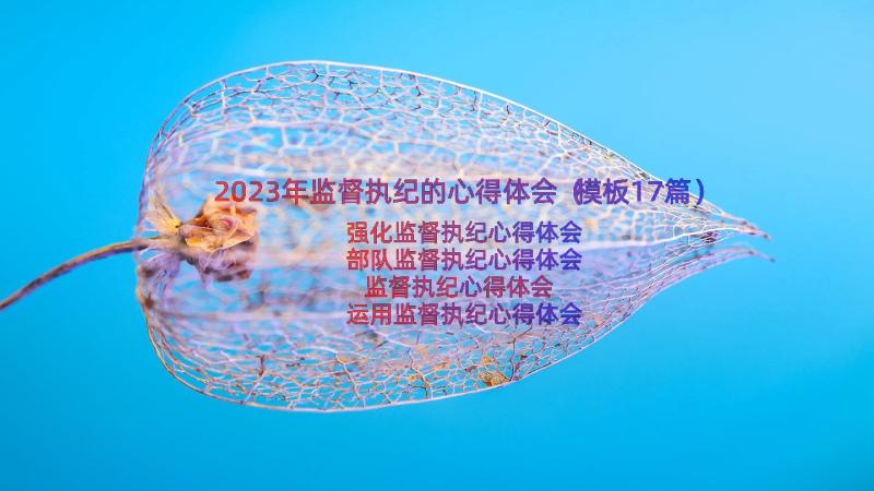 2023年监督执纪的心得体会（模板17篇）