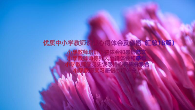 优质中小学教师说课心得体会及感悟（汇总18篇）