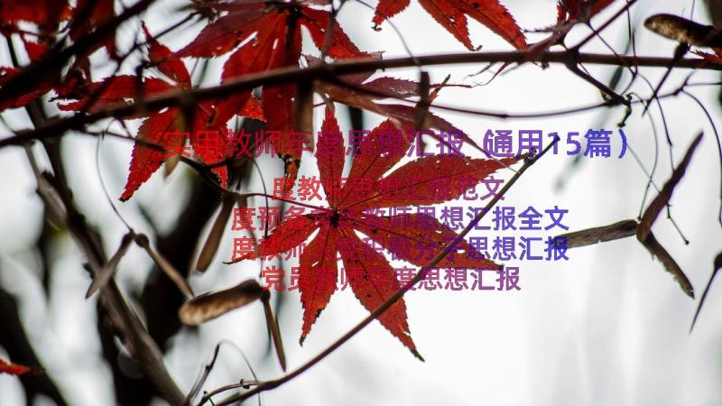 实用教师年度思想汇报（通用15篇）