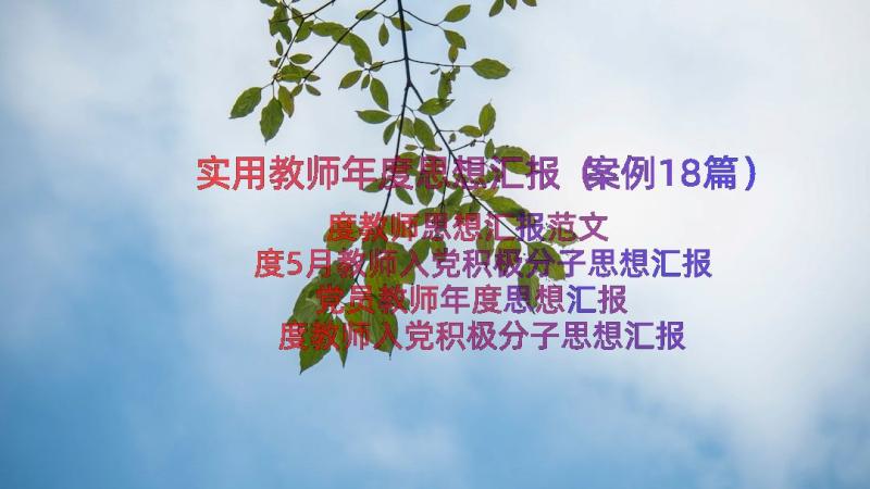 实用教师年度思想汇报（案例18篇）