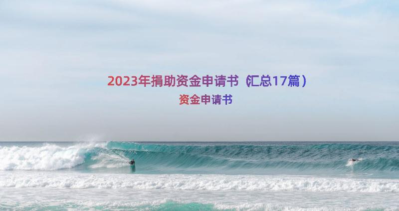 2023年捐助资金申请书（汇总17篇）